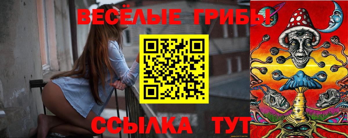 Тамбов  Галлюциногенные грибы прущие грибы  Псилоцибиновые грибы мухоморы  Вход с VPN 